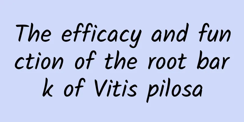The efficacy and function of the root bark of Vitis pilosa