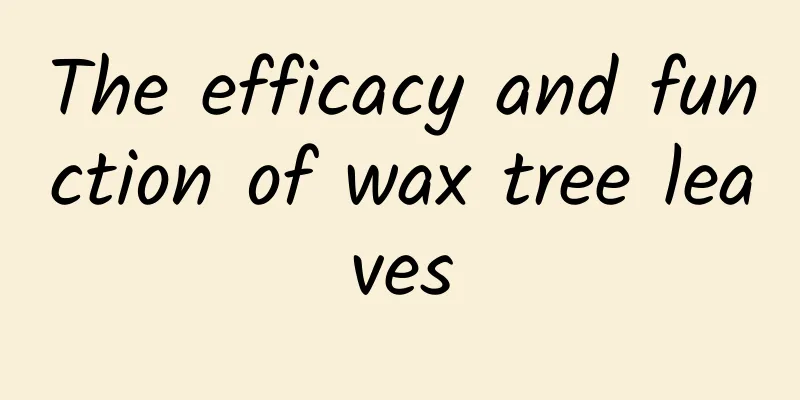The efficacy and function of wax tree leaves