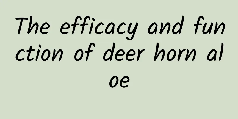 The efficacy and function of deer horn aloe