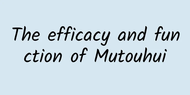 The efficacy and function of Mutouhui