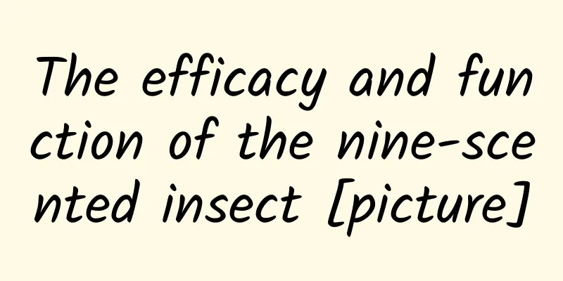 The efficacy and function of the nine-scented insect [picture]