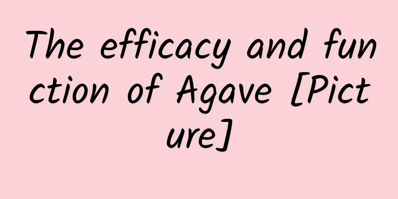 The efficacy and function of Agave [Picture]