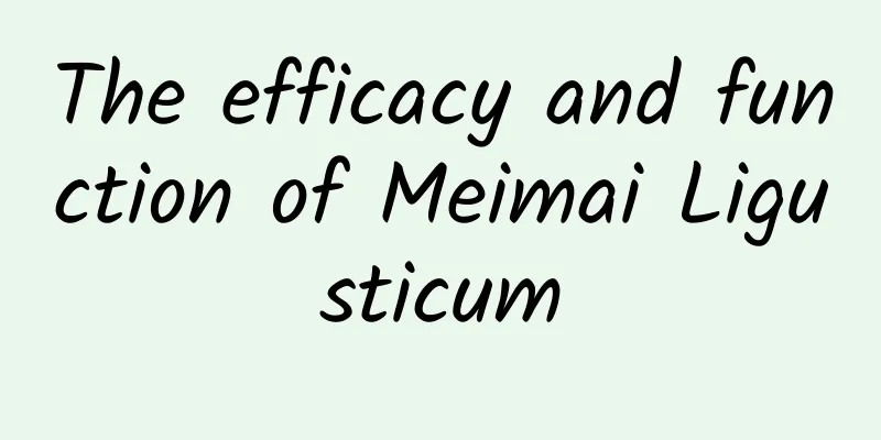 The efficacy and function of Meimai Ligusticum