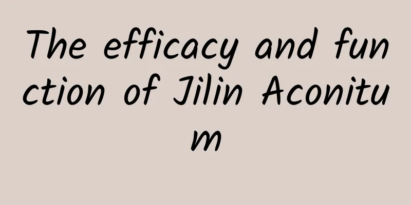 The efficacy and function of Jilin Aconitum