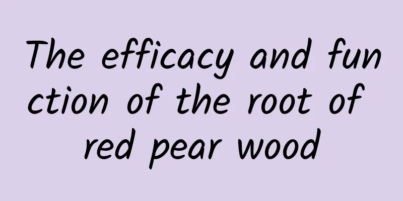 The efficacy and function of the root of red pear wood