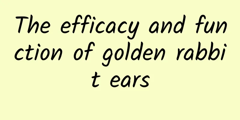 The efficacy and function of golden rabbit ears
