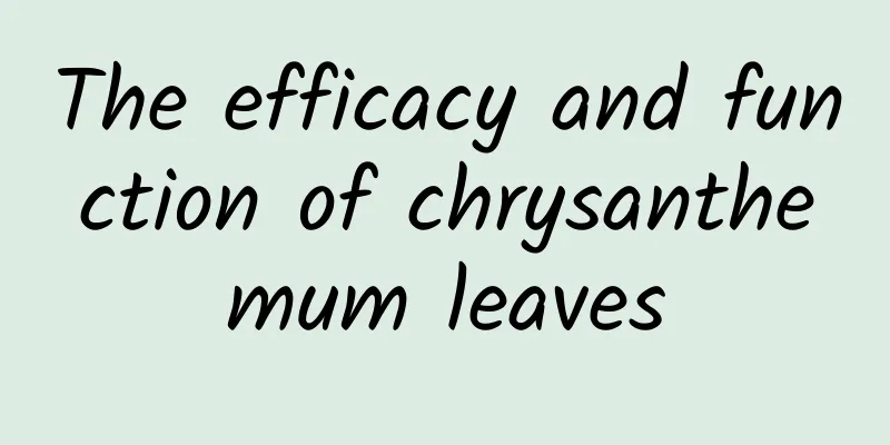 The efficacy and function of chrysanthemum leaves