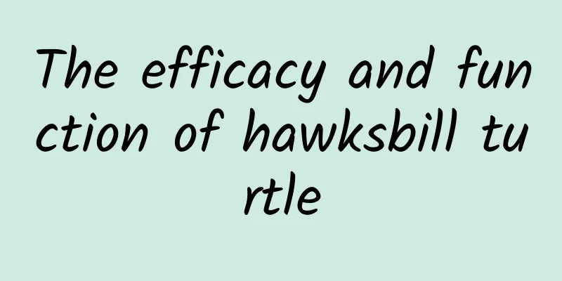 The efficacy and function of hawksbill turtle