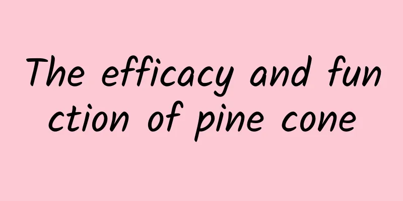 The efficacy and function of pine cone