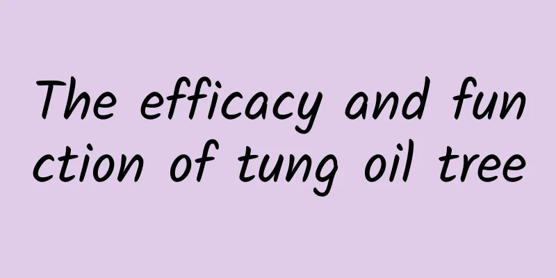 The efficacy and function of tung oil tree