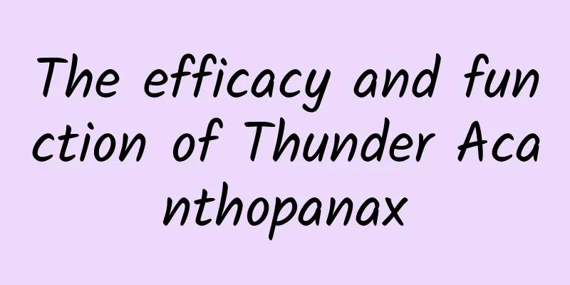 The efficacy and function of Thunder Acanthopanax