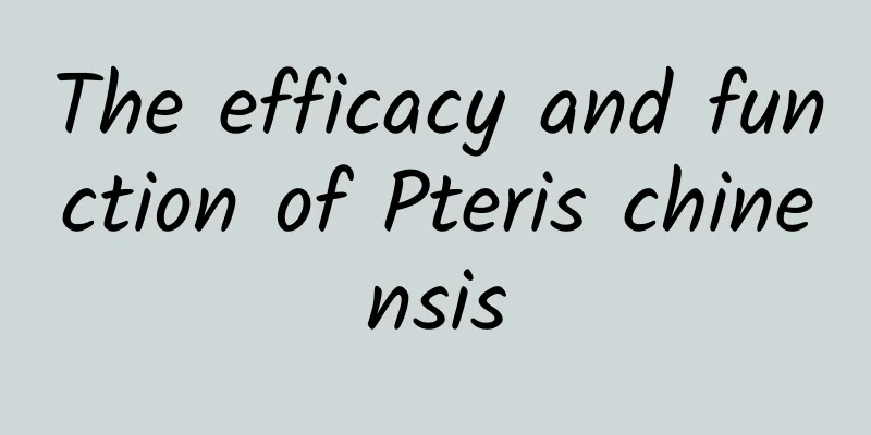The efficacy and function of Pteris chinensis