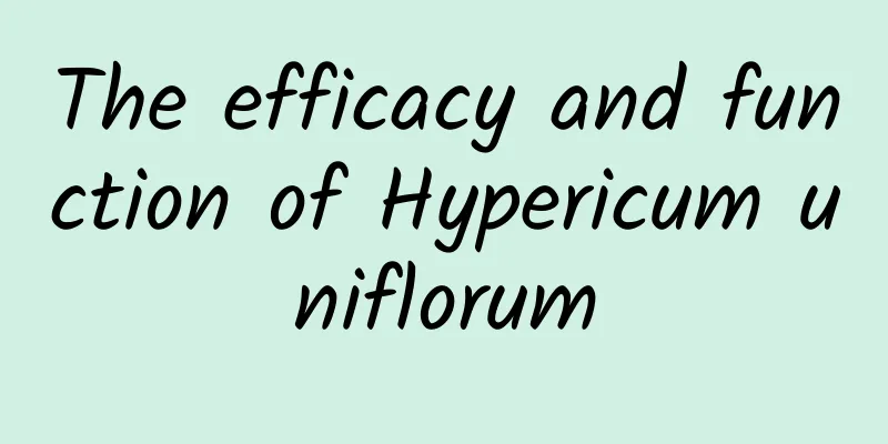 The efficacy and function of Hypericum uniflorum