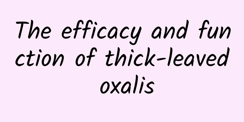 The efficacy and function of thick-leaved oxalis