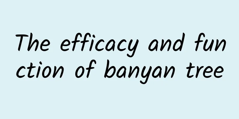 The efficacy and function of banyan tree