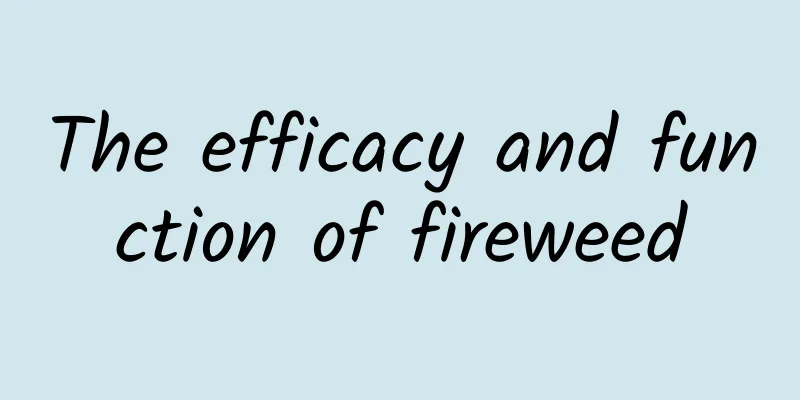 The efficacy and function of fireweed