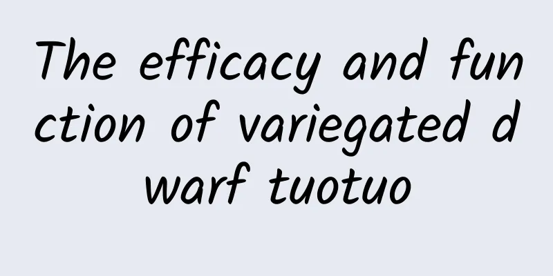 The efficacy and function of variegated dwarf tuotuo
