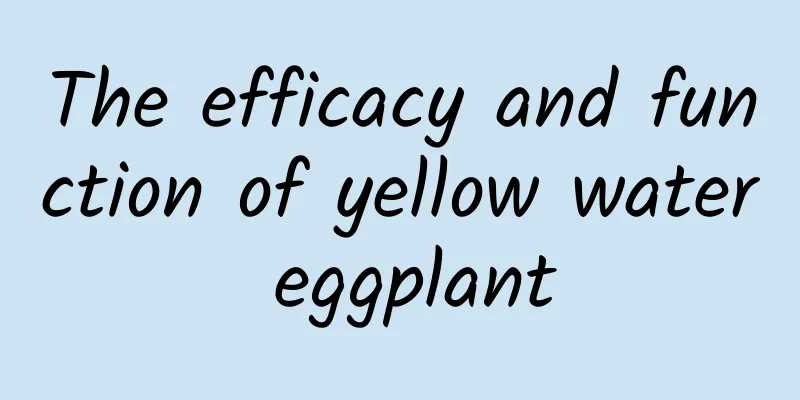 The efficacy and function of yellow water eggplant