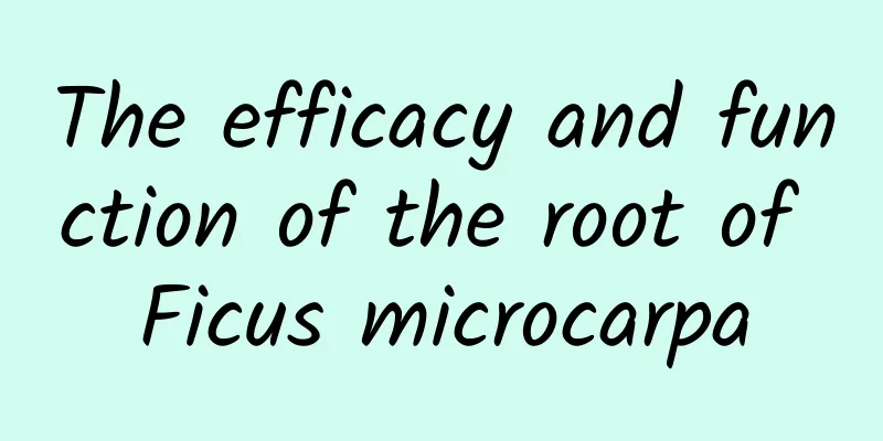 The efficacy and function of the root of Ficus microcarpa
