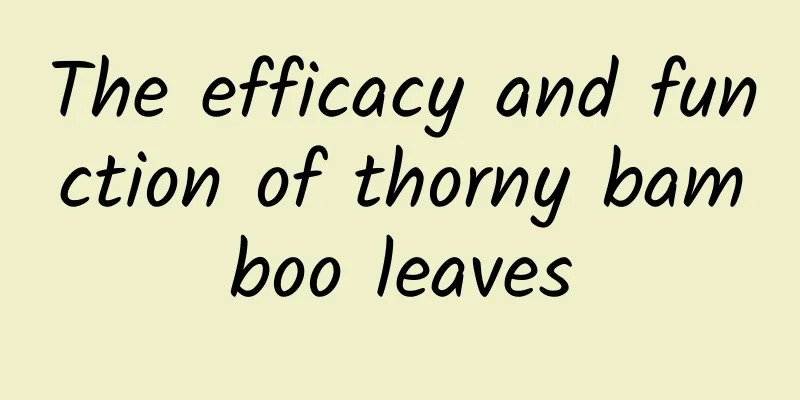 The efficacy and function of thorny bamboo leaves