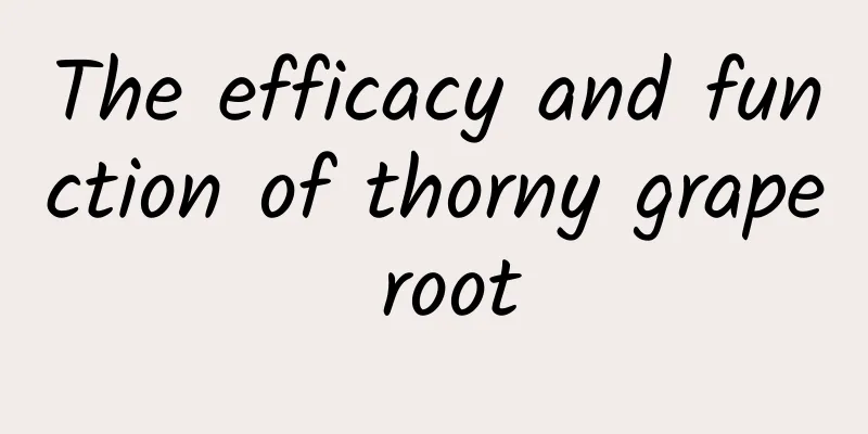 The efficacy and function of thorny grape root