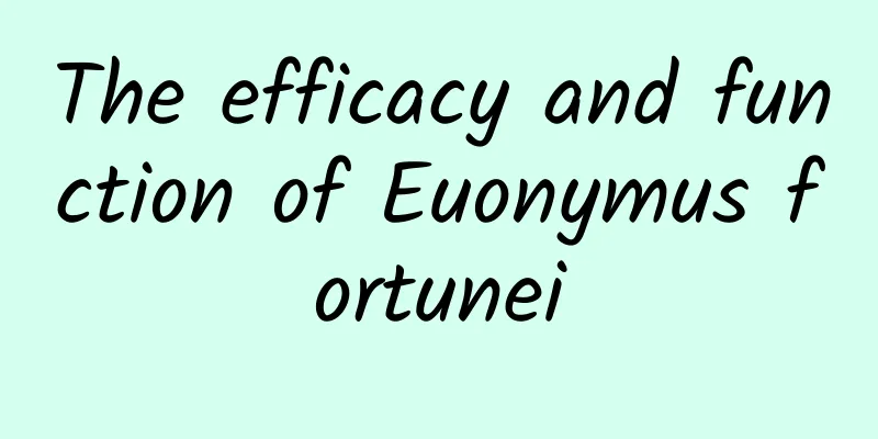 The efficacy and function of Euonymus fortunei