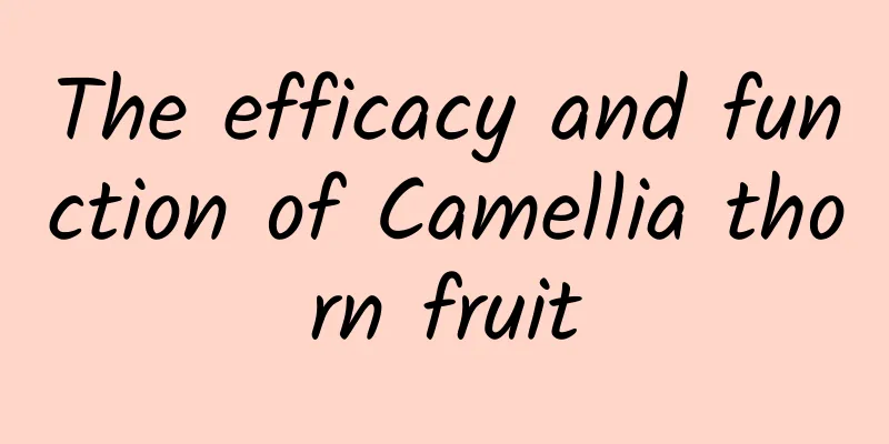 The efficacy and function of Camellia thorn fruit
