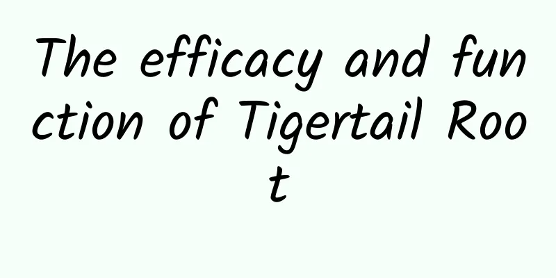 The efficacy and function of Tigertail Root
