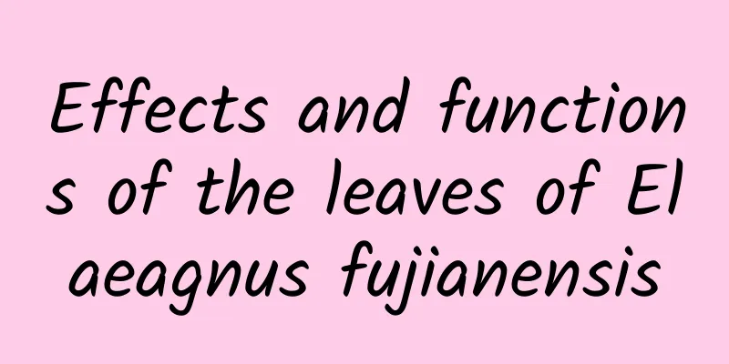 Effects and functions of the leaves of Elaeagnus fujianensis