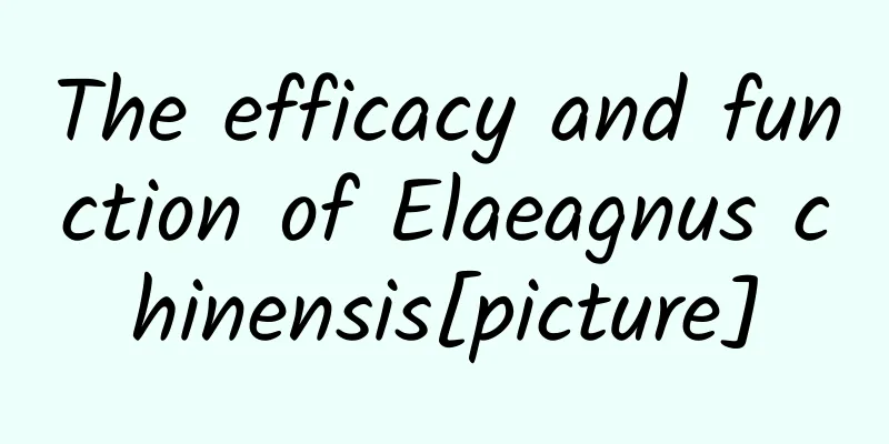 The efficacy and function of Elaeagnus chinensis[picture]