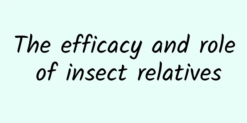 The efficacy and role of insect relatives
