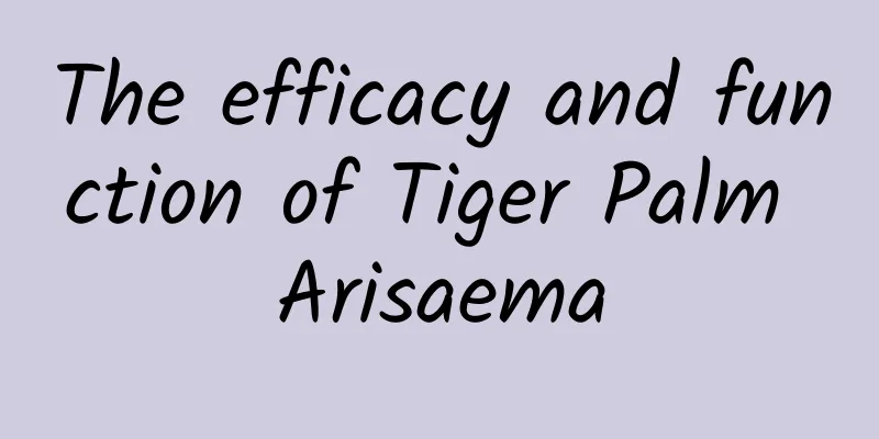 The efficacy and function of Tiger Palm Arisaema