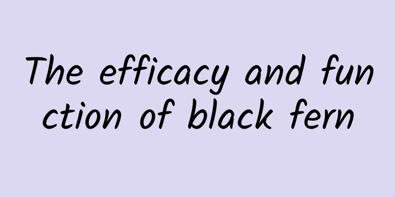 The efficacy and function of black fern
