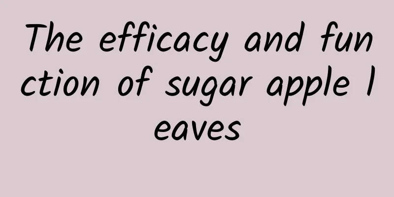 The efficacy and function of sugar apple leaves