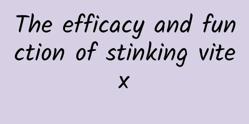 The efficacy and function of stinking vitex
