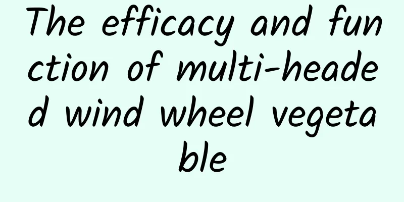 The efficacy and function of multi-headed wind wheel vegetable