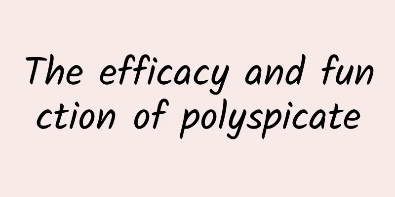 The efficacy and function of polyspicate