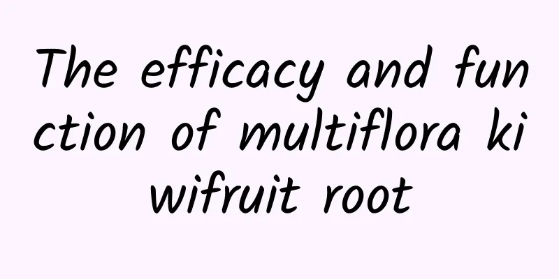 The efficacy and function of multiflora kiwifruit root