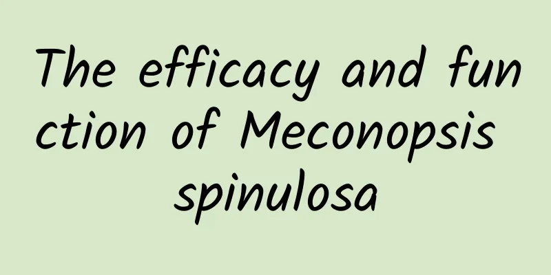 The efficacy and function of Meconopsis spinulosa