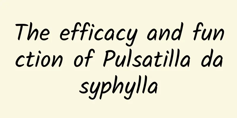 The efficacy and function of Pulsatilla dasyphylla
