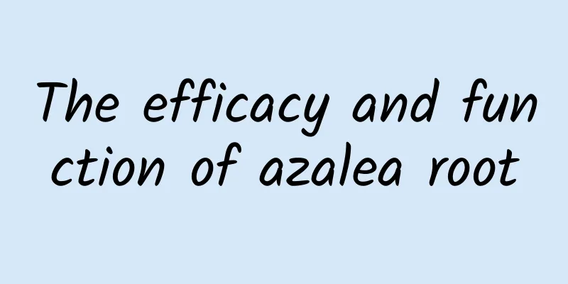 The efficacy and function of azalea root