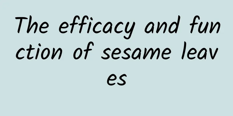 The efficacy and function of sesame leaves
