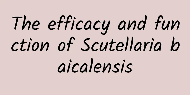 The efficacy and function of Scutellaria baicalensis