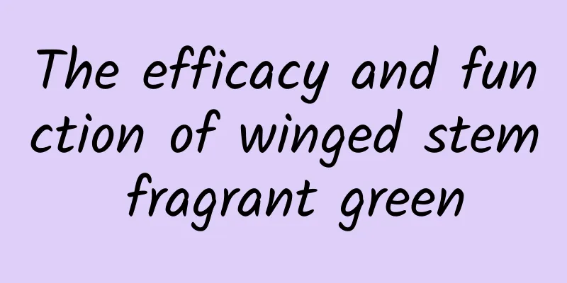 The efficacy and function of winged stem fragrant green