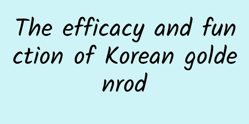 The efficacy and function of Korean goldenrod