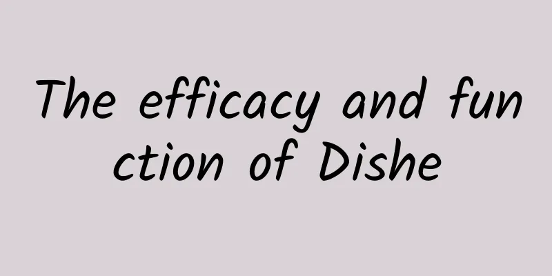 The efficacy and function of Dishe