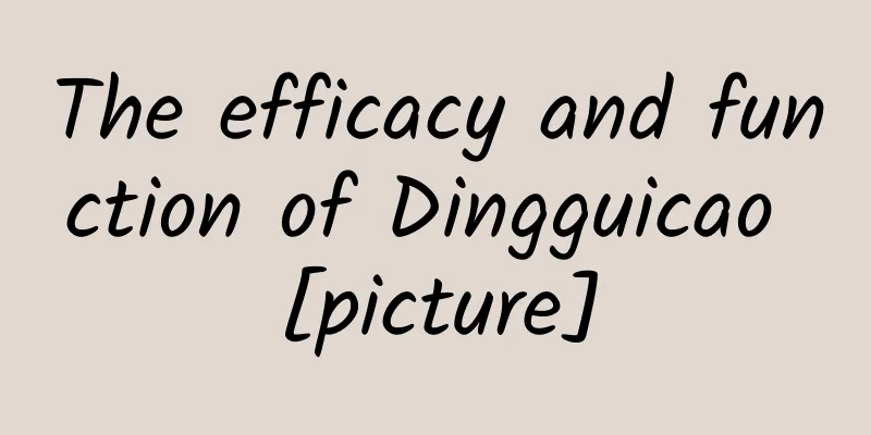 The efficacy and function of Dingguicao [picture]