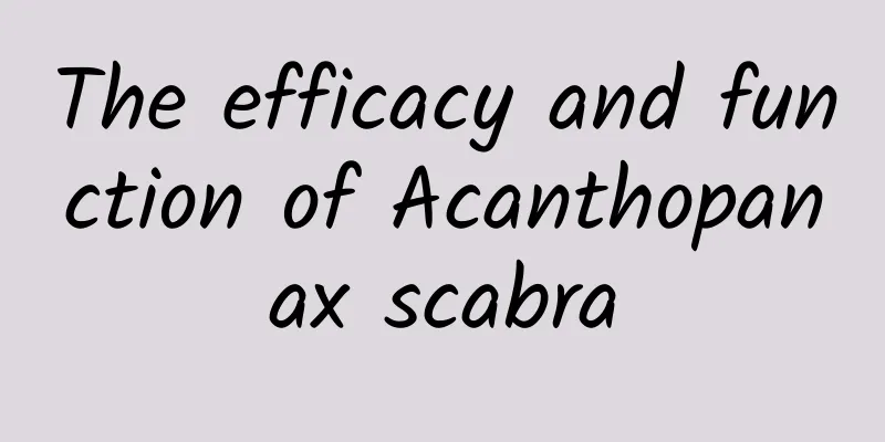 The efficacy and function of Acanthopanax scabra