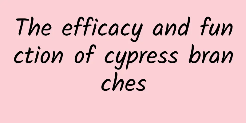 The efficacy and function of cypress branches