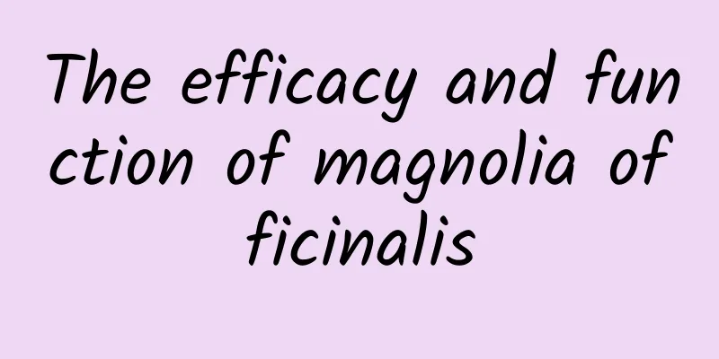 The efficacy and function of magnolia officinalis
